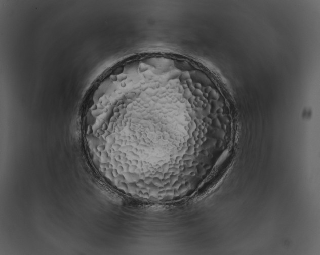 X0000089761167200707121357