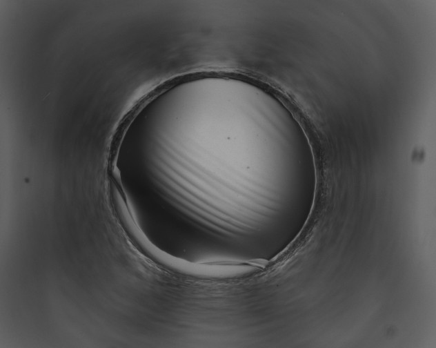 X0000089761168200707121357