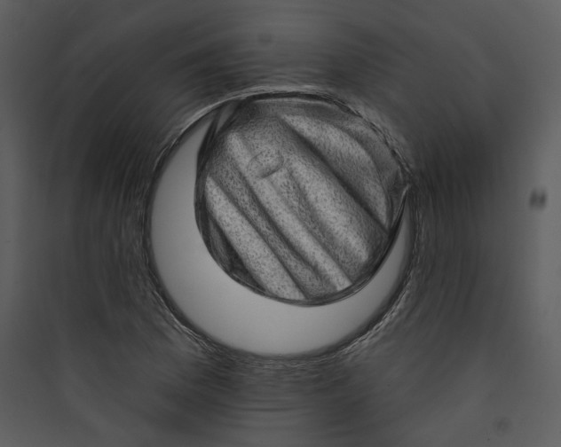 X0000089761169200707121357