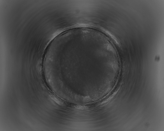 X0000089761170200707121357