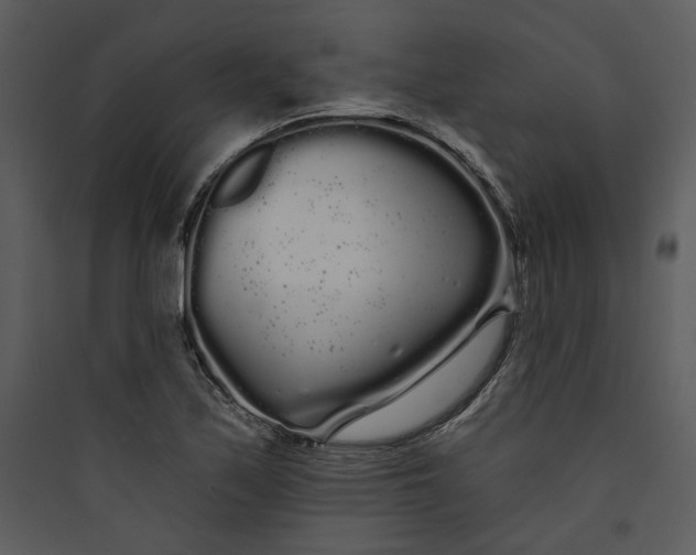 X0000089761171200707121357