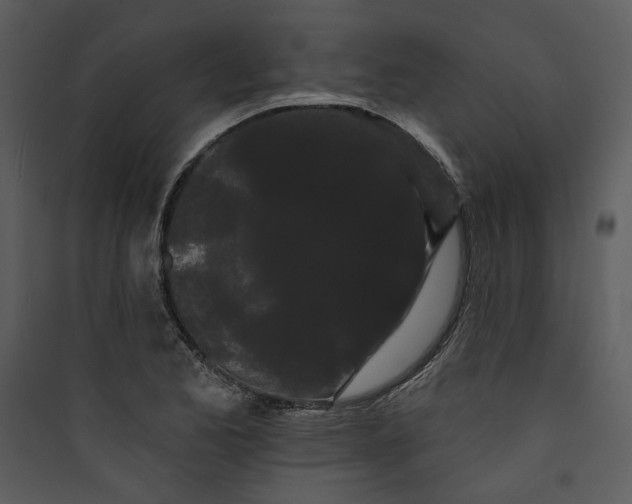 X0000089761173200707121357