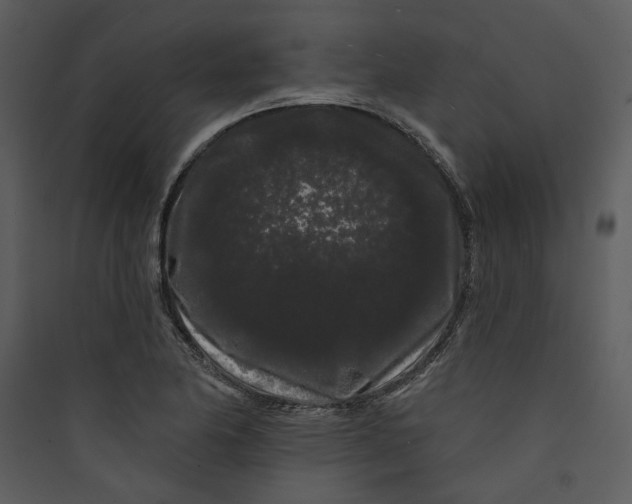 X0000089761174200707121357