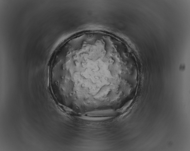 X0000089761175200707121357