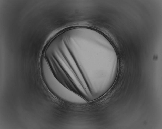 X0000089761176200707121357