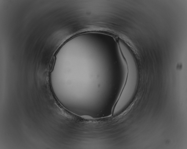 X0000089761177200707121357