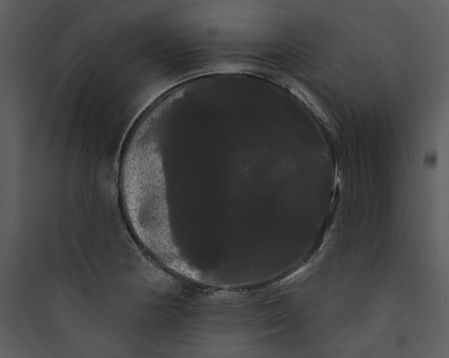 X0000089761178200707121357