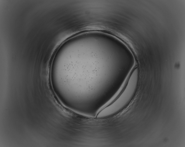 X0000089761179200707121357