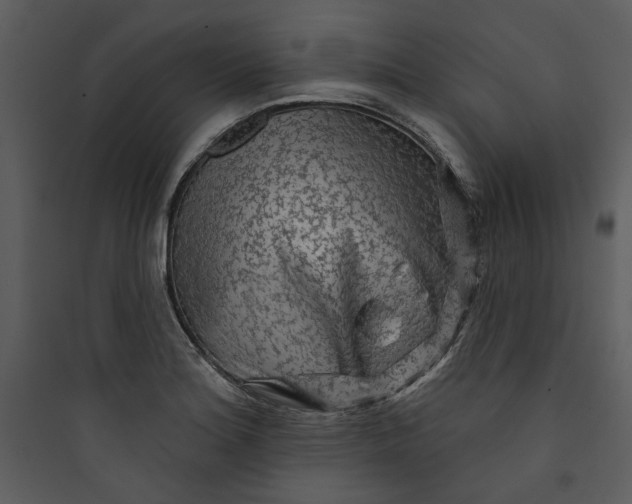 X0000089761180200707121357