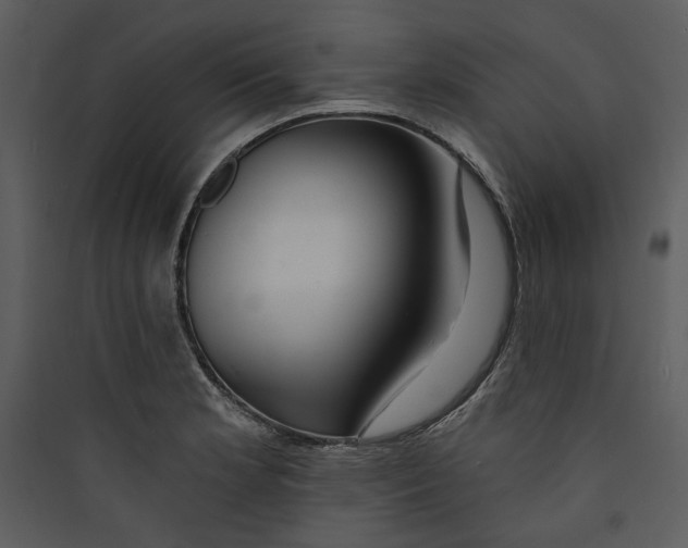 X0000089761181200707121357