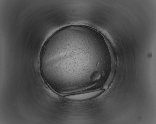 X0000089761184200707121357