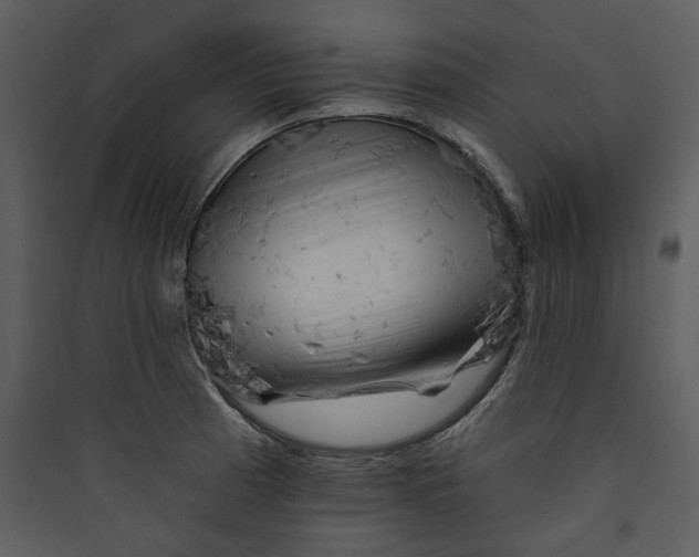 X0000089761185200707121357