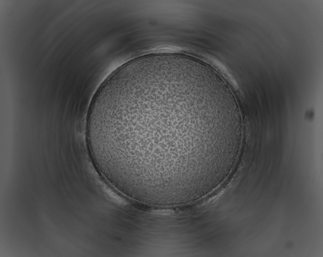 X0000089761186200707121357