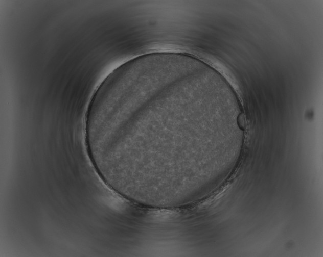 X0000089761187200707121356