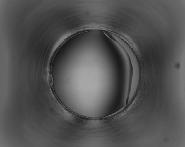 X0000089761188200707121356