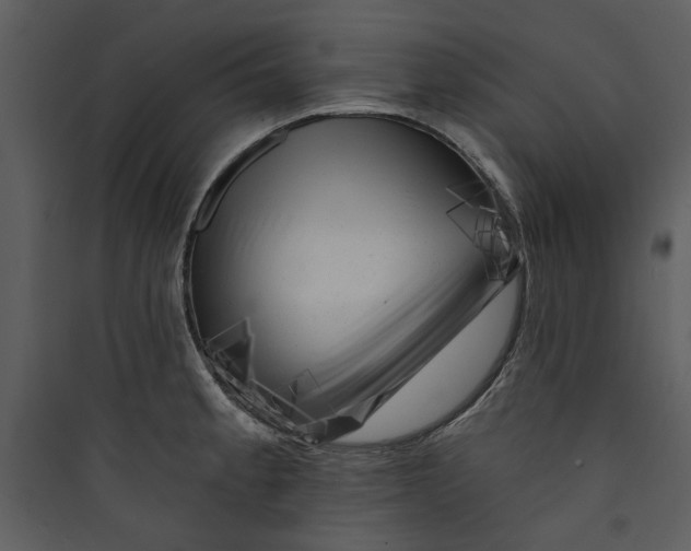 X0000089761189200707121356