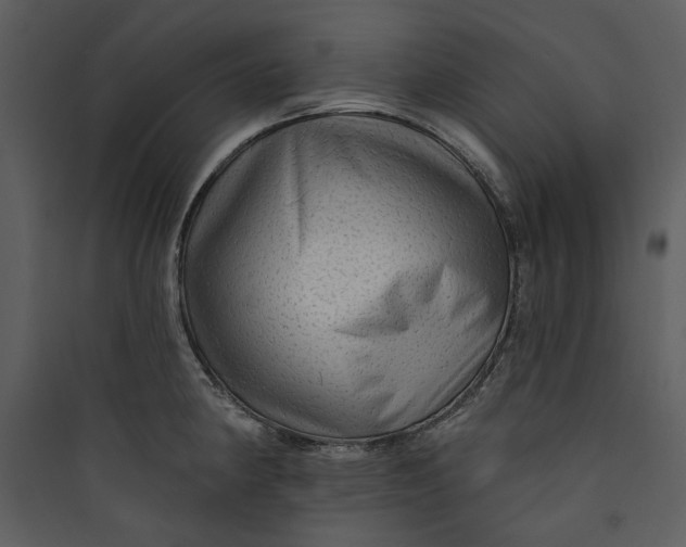 X0000089761190200707121356