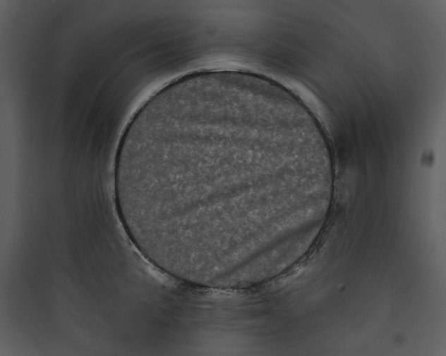 X0000089761191200707121356