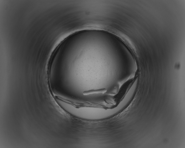 X0000089761192200707121356