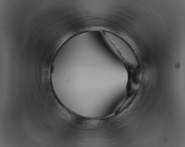 X0000089761193200707121356