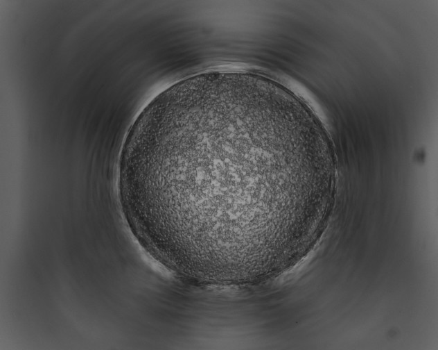 X0000089761194200707121356