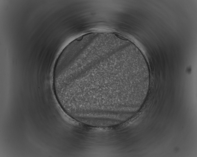 X0000089761195200707121356