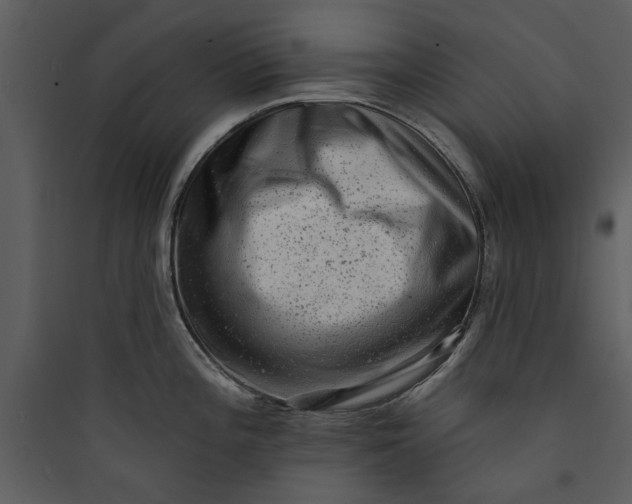 X0000089761196200707121356