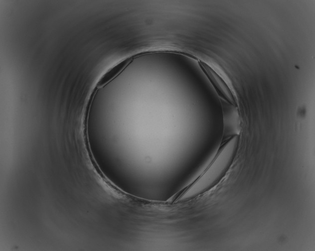 X0000089761197200707121356