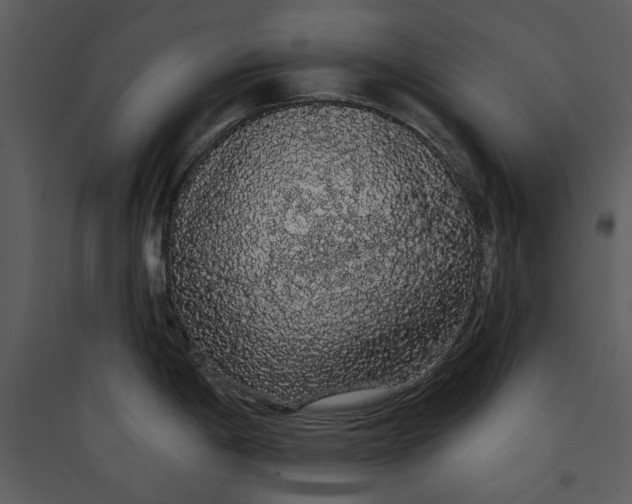 X0000089761198200707121356