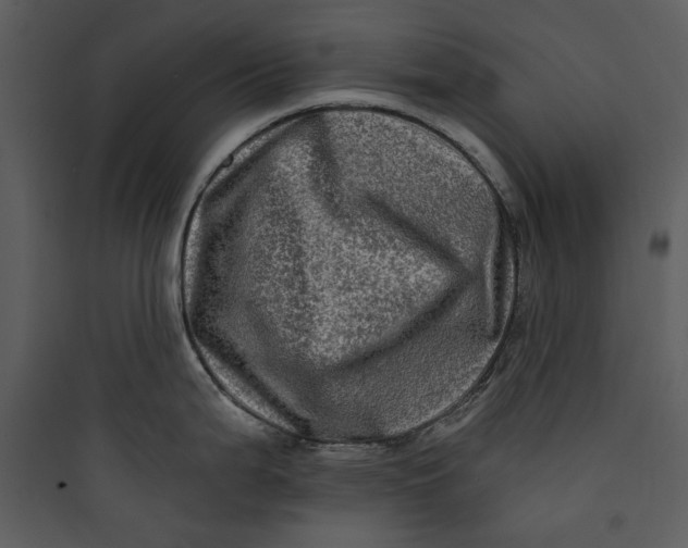 X0000089761199200707121356