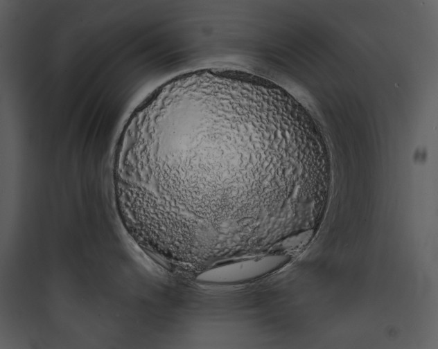 X0000089761200200707121356