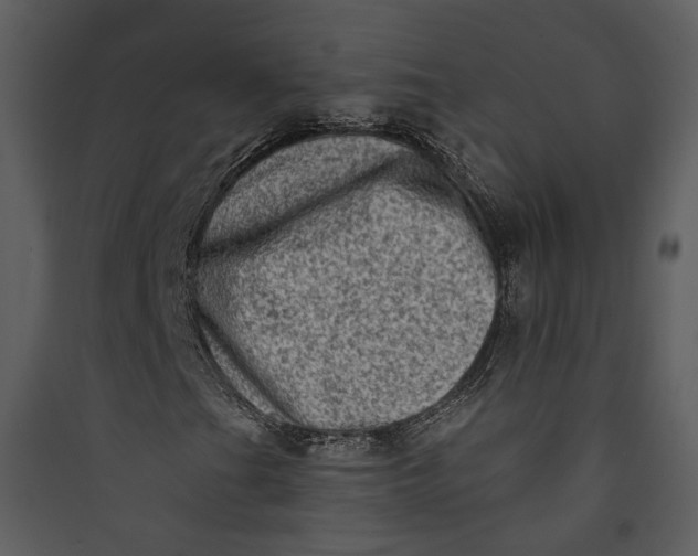 X0000089761201200707121355