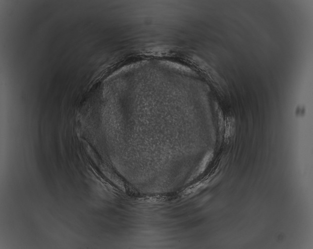 X0000089761202200707121355