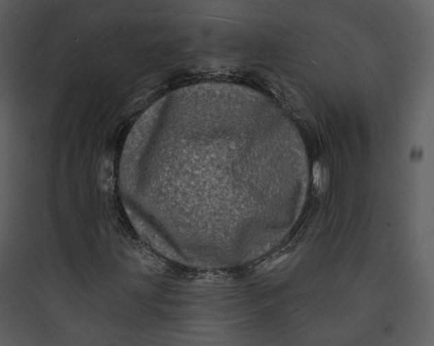 X0000089761203200707121355