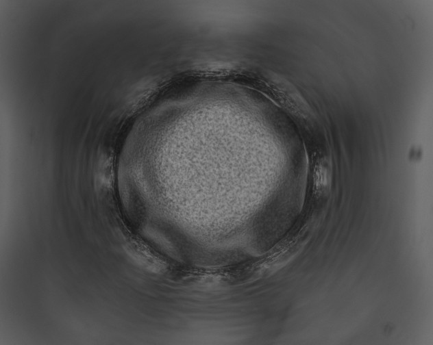 X0000089761204200707121355