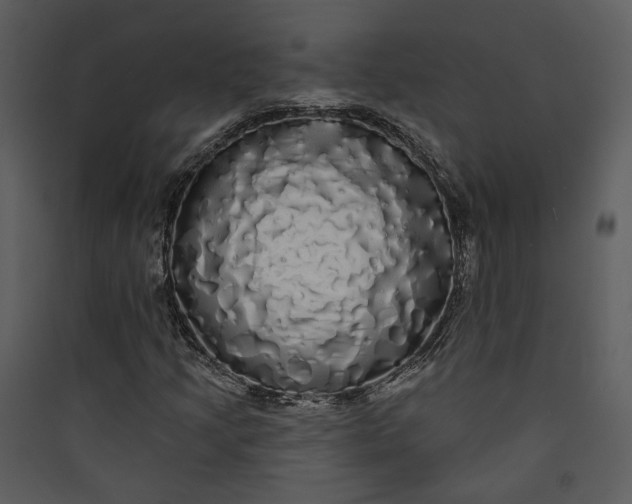 X0000089761205200707121355