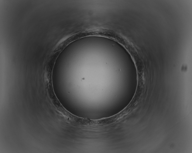 X0000089761206200707121355