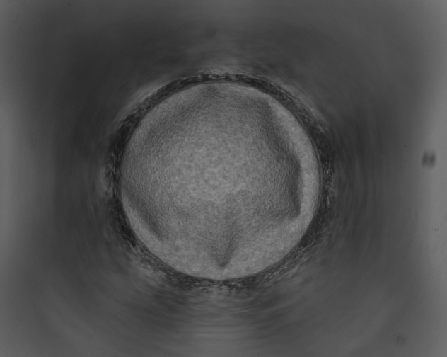 X0000089761207200707121355