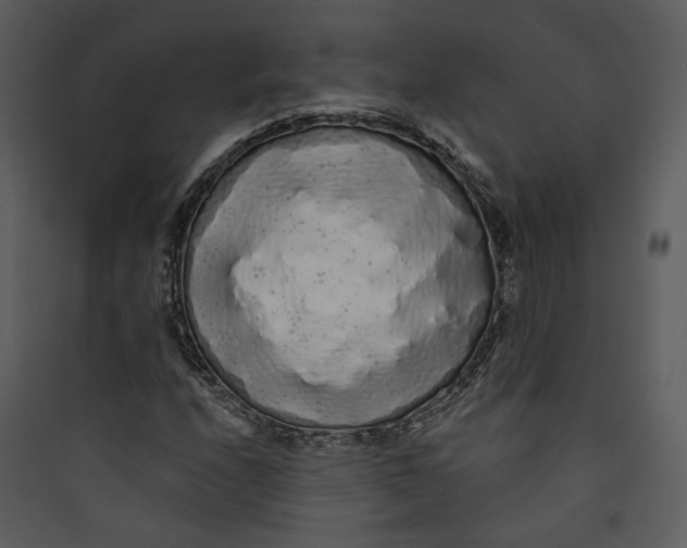 X0000089761208200707121355