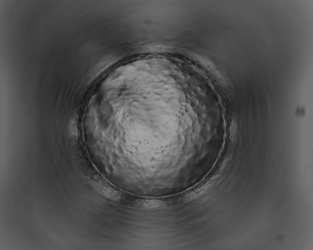 X0000089761209200707121356