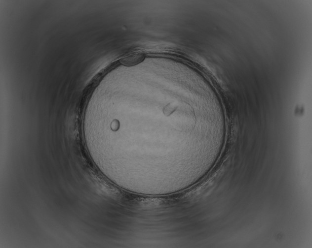 X0000089761211200707121356