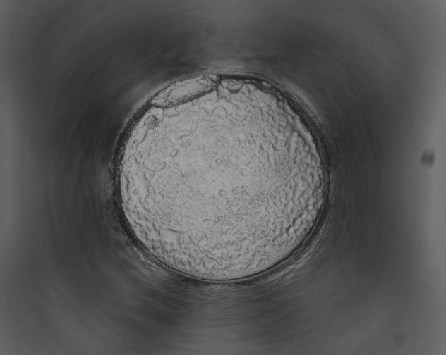 X0000089761212200707121356