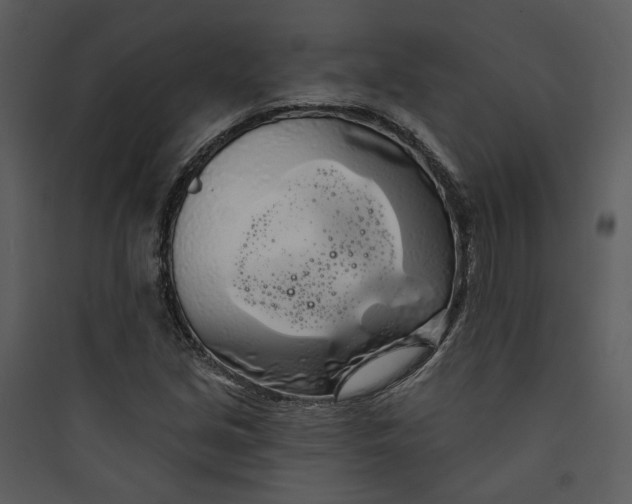 X0000089761213200707121356