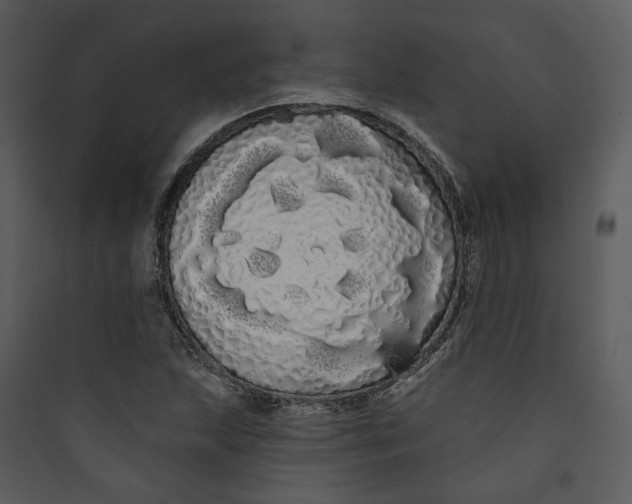 X0000089761215200707121356