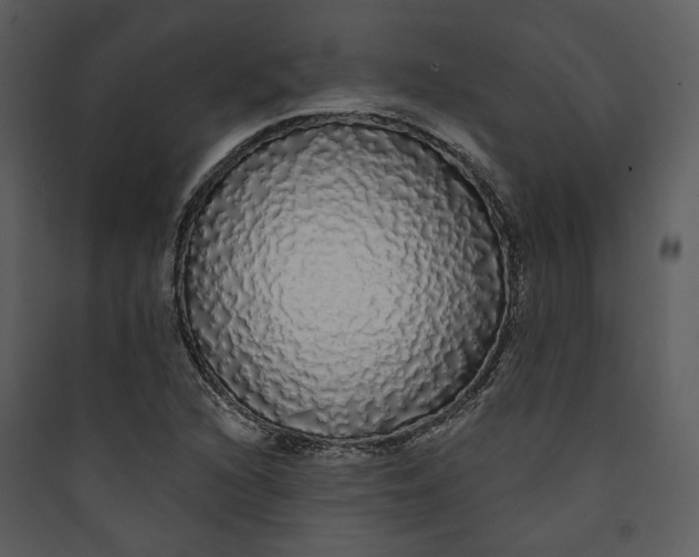 X0000089761216200707121356