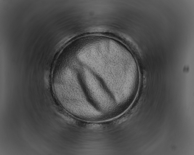 X0000089761217200707121356