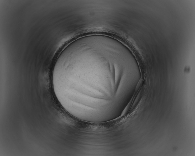 X0000089761218200707121356