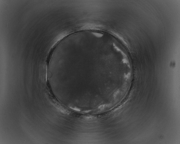 X0000089761219200707121356