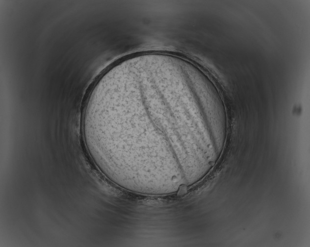 X0000089761220200707121356