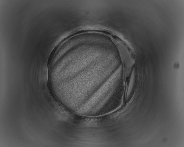 X0000089761221200707121356